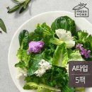 이지샐러드