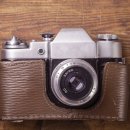 나무그늘 포토타임 이미지