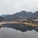 용문시장 이미지