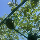 모던스파 이미지