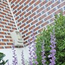 고향의 여름 이미지