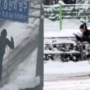 Morning Lake 이미지