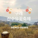 구례군청소년수련원 | <전남3월축제> 구례산수유축제 아이랑