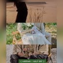 데이심플(Day Simple) 네이버블로그
