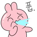 카페알오 네이버블로그