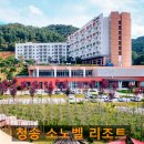 청솔당구장 | 청송 가볼 만한 곳 소노벨 리조트 노천탕 솔샘 온천