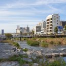 칠석동 고싸움센터 이미지