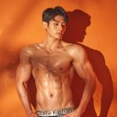 바디다짐 이미지