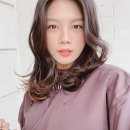 트리플헤어