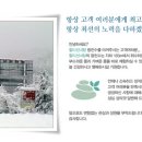 할티선녀탕 이미지