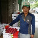 영천 별빛촌 영천뉴스24