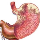 웨이트마스터GYM 이미지