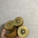 김은경음악학원 | 오늘의 감상을 담은 비망록