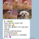 아로메리 이미지