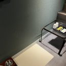 에버그린모텔 | 목포 애견동반여행 숙소 후기! 뉴에버그린호텔 내돈내산 개인적인 장점과 단점