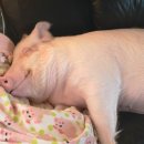 에스더 기획 이미지