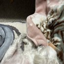 플레이 바우 이미지