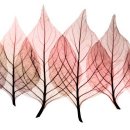 활활숯불 이미지