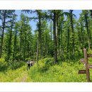 대관령 느린마을 이미지