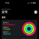 띵가 이미지