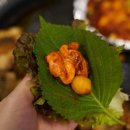 냅다청양집쌍용
