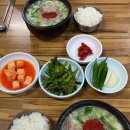 주정차064 이미지