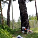 덕유산휴게소(하) 이미지