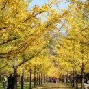 홍천군관광안내소 이미지