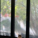 집사의 하루 일산점 이미지