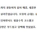 진미회관 네이버블로그