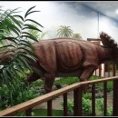 덕소자연사박물관 이미지