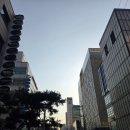 지강한식당 압구정본점 | 압구정역맛집 '지강한식당 압구정본점' 솔직후기. Feat.오곱새와 묵사발,볶음밥이 맛있는 곳.