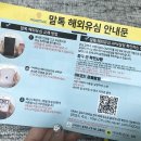 도브민박 이미지