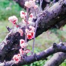 정진월농장 이미지