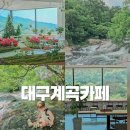 헤세디온 | 대구 근교 계곡 카페 추천 헤세디온 명당 후기