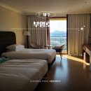 부영치킨 | 제주 중문 부영 호텔 디럭스 트윈룸 가성비 5성급숙소
