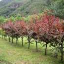 운암농장 이미지