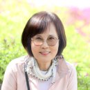 군포철쭉축제 이미지