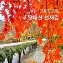 행복양말