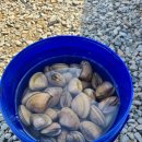 커피마마 안면도점 이미지