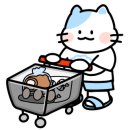 청소팩트 이미지