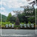 가족이 함께 떠나는 숲체험 & 놀이 - 애벌레 숲 놀이터 | 대전 상소동산림욕장 후기｜족욕장, 숲체험놀이터, 무료 물놀이장 정보까지