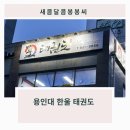 용인대 한울 태권도 이미지