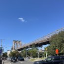 아라비카 호스텔 | 미국 여행/New York]🇺🇸뉴욕여행|브루클린 브릿지|아라비카 커피|덤보 Dumbo|맨헤튼 브릿지|911 메모리얼...