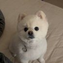 유폴 평택지제역점 이미지