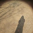 갈울근린공원 이미지