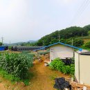 노티농장 이미지