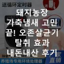 용등농장 | 돼지농장 가축냄새 고민 끝! 오존살균기 탈취 효과 내돈내산 후기