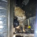 타이어서부센터 이미지