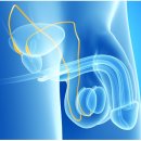 연세원비뇨의학과의원 이미지